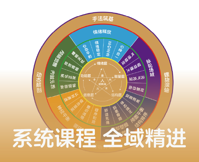 系统课程，全域精进